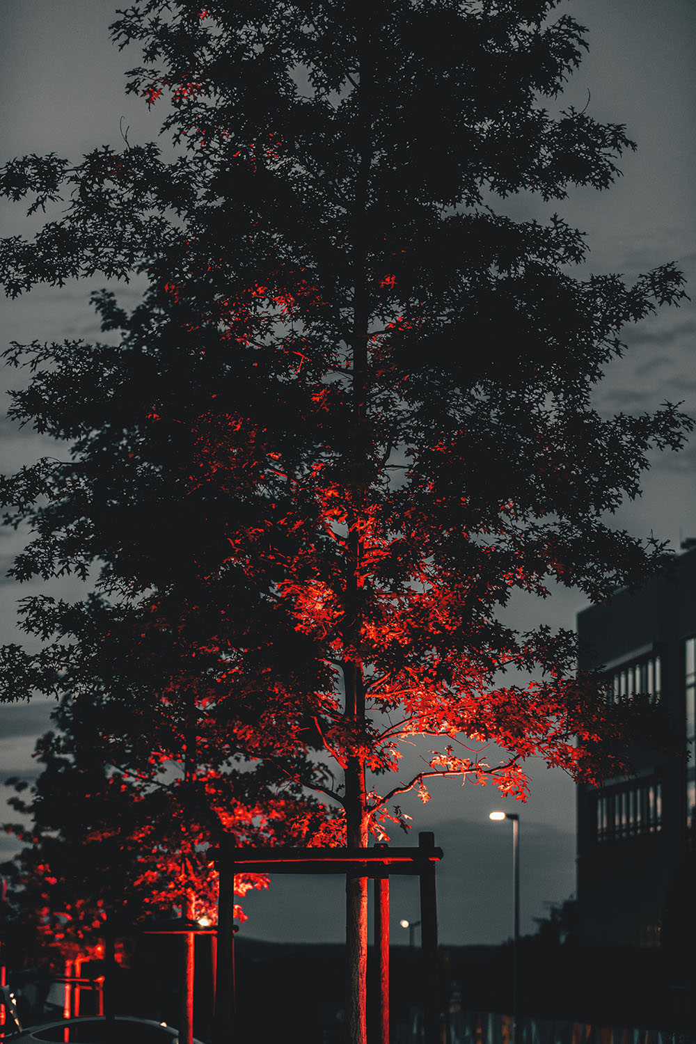 Permitting Must Be Shorter, Simpler, and Predictable